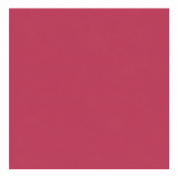 BELL HYPOALLERGENIC - MELTING MOISTURE LIPSTICK 05 RASPBERRY
