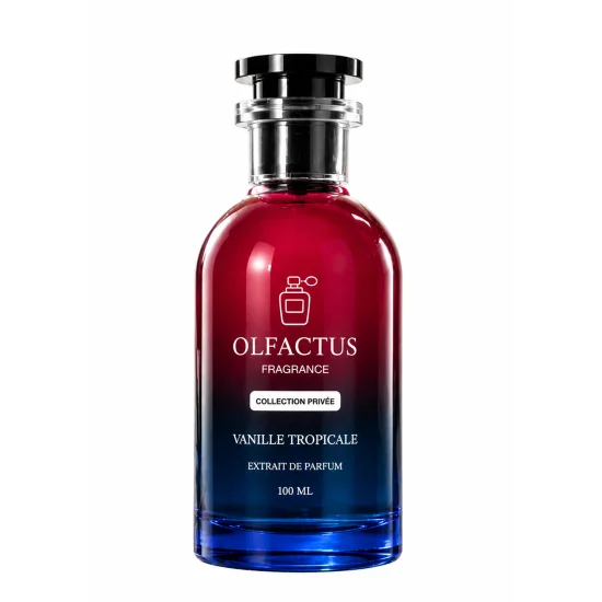 OLFACTUS VANILLE TROPICALE EXTRAIT DE PARFUM 100 ML – PARFUM GOURMAND VANILLÉ ET FRUITÉ