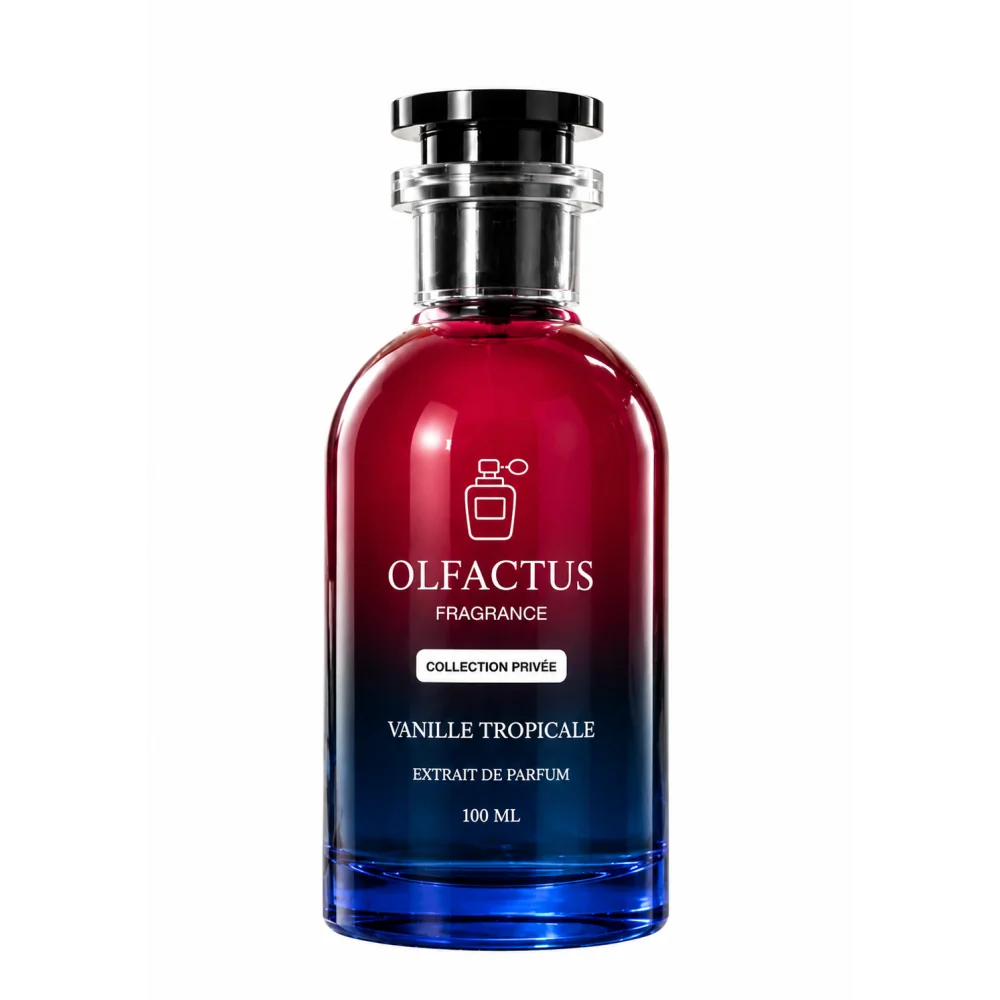 OLFACTUS VANILLE TROPICALE EXTRAIT DE PARFUM 100 ML – PARFUM GOURMAND VANILLÉ ET FRUITÉ