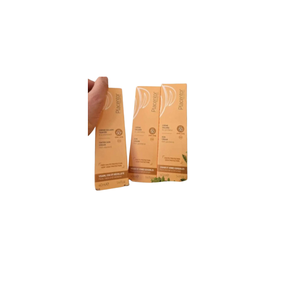 PLACENTOR ECRAN TEINTE OU INVISIBLE LOT 3 pour Accueil