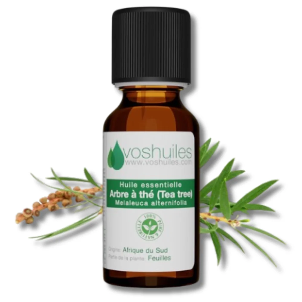 VOS HUILES - HUILE ESSENTIELLE ARBRE A THE 10ML pour Soins