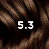 PHYTO PHYTOCOLOR - COLORATION PERMANENTE CHATAIN CLAIR DORE 5.3