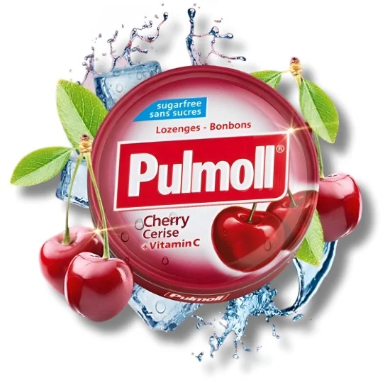 PULMOLL - PASTILLES SANS...
