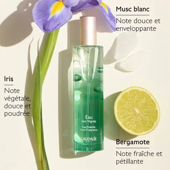 CAUDALIE - EAU FRAICHE EAU DES VIGNES 50ML