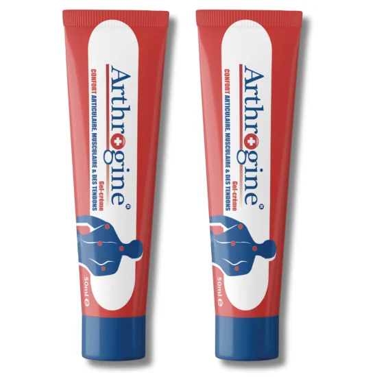 DAHLIA - LOT DE 2...