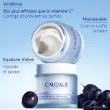 CAUDALIE VINOPERFECT - CREME ANTI-TACHES NIACINAMIDE 50ML