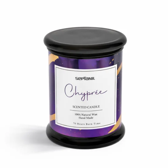 SEPTANIL - BOUGIE PARFUMEE CHYPREE 280GR