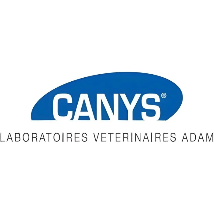 CANYS