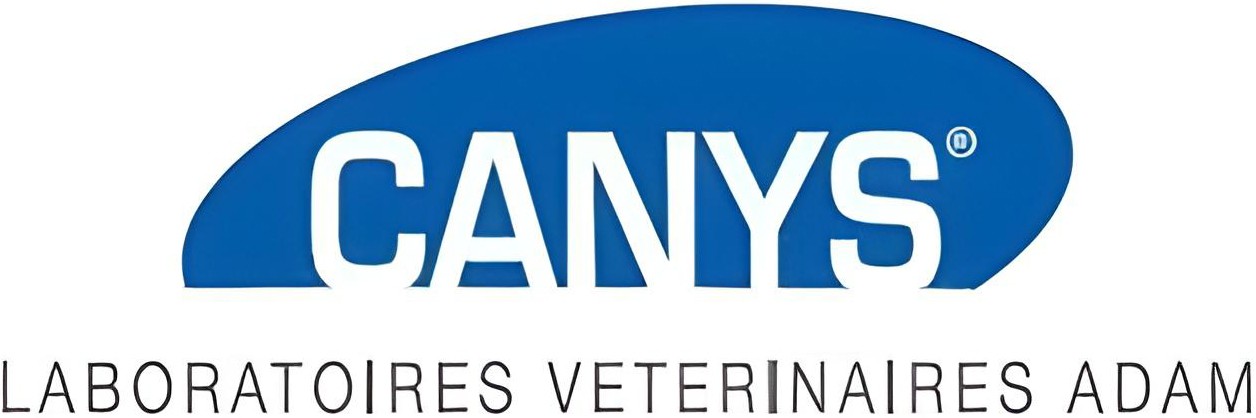 CANYS