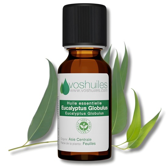 VOSHUILES HUILE ESSENTIELLE D'EUCALYPTUS GLOBULUS